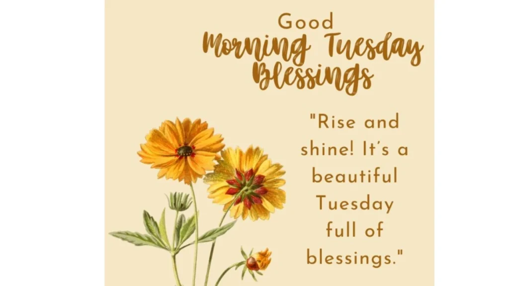 Floral Tuesday Blessings Images