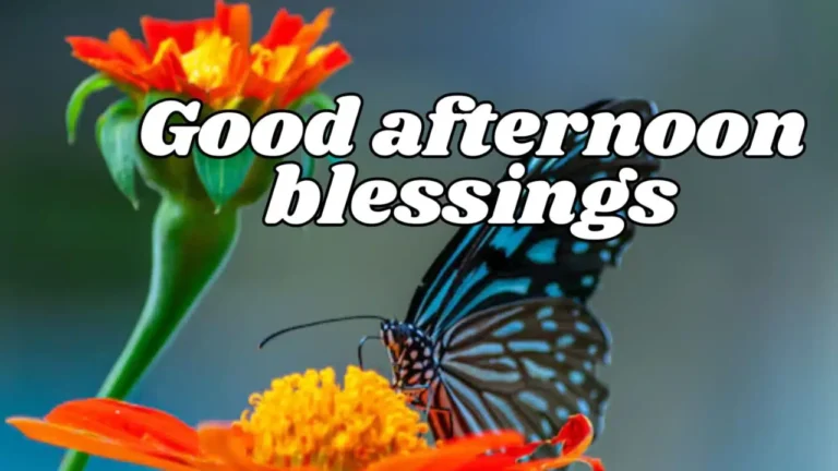 Good Afternoon Blessings