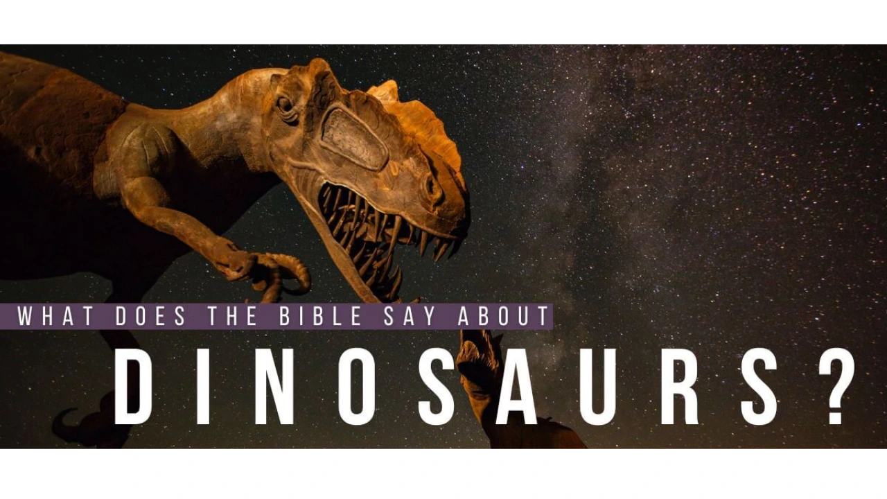 Eye for an Eye Bible