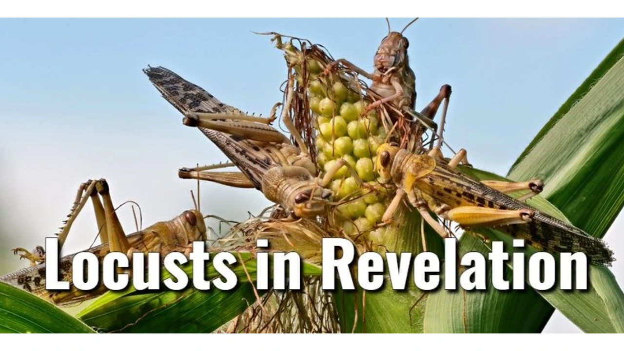 Locusts in the Bible