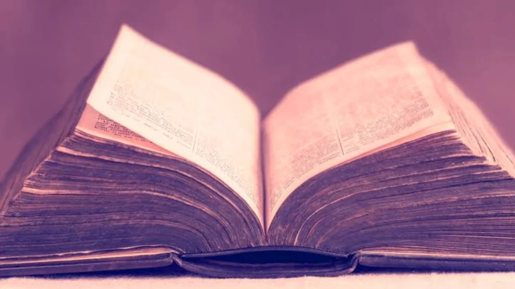 Popular Bible Translations Available in Pink
