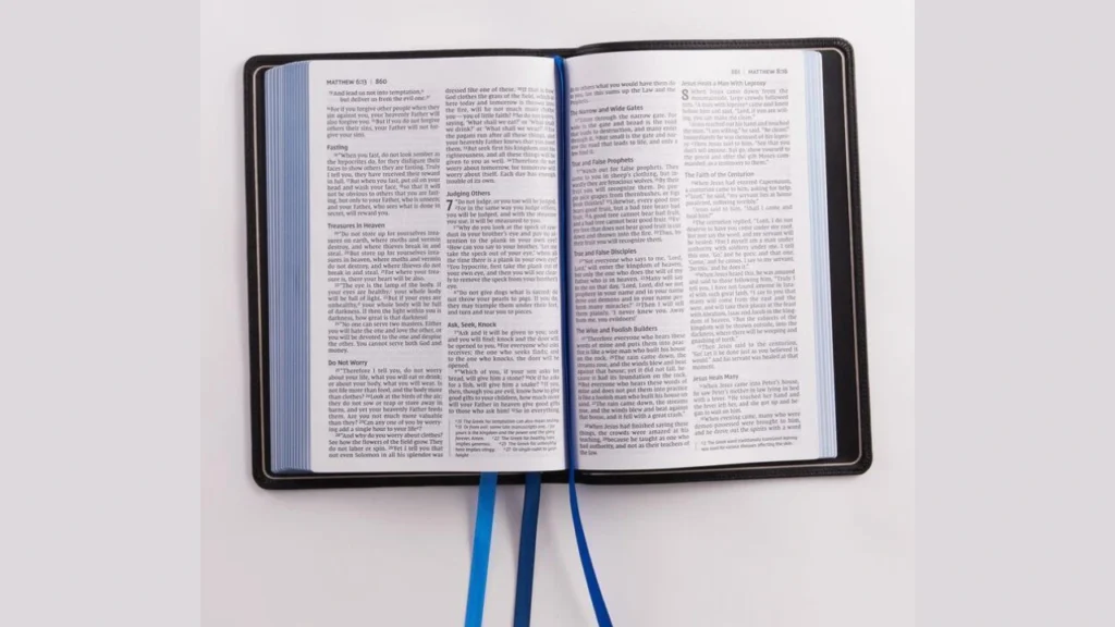 Why Is the NIV Bible So Popular