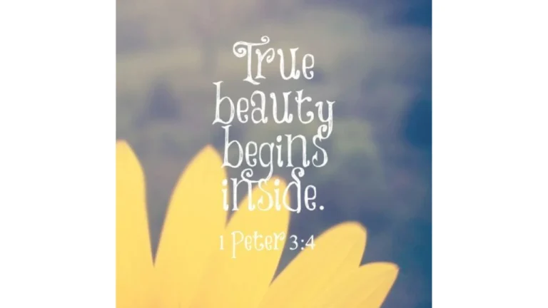 Bible Verses About Beauty